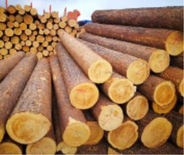 ����ľ�c��ͨľ�ĵą^�e