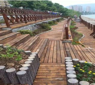 ����ľʩ��ע�����  ����