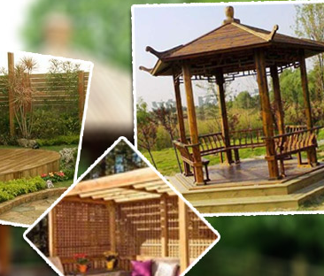 ����ľ�ИIӭ����һ���lչ���S����