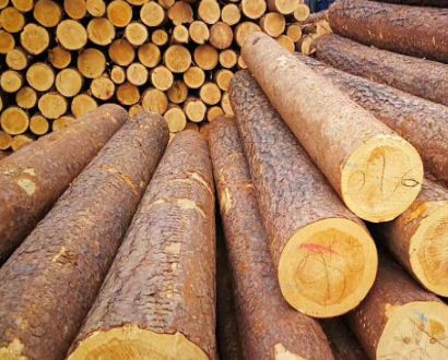 ��֪������ľ�ǲ��ǭh������������