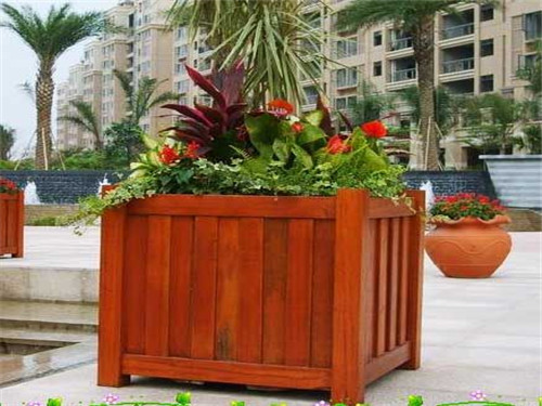 ����ľ���������Щ��(y��u)�c(di��n)